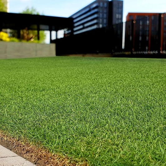 Grass Seeds (Pack Of 100 seeds)