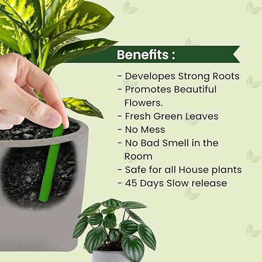 Plant Fertilizer Sticks (25 Sticks)