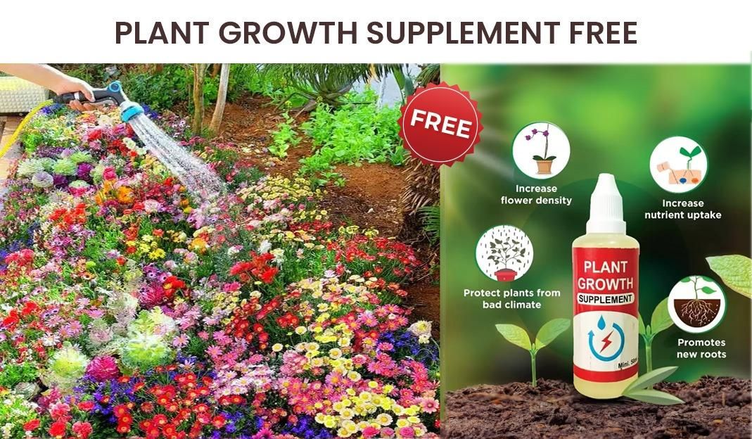Flower Seeds (Pack of 100) And Get Plant Growth Supplement Free
